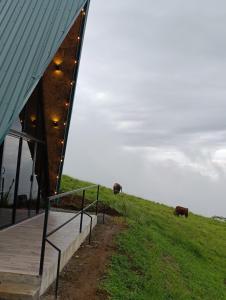 Gallery image of Zerenity Views - 40 minutes from La Fortuna! 