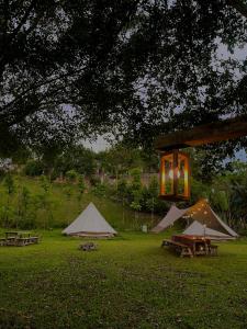 um grupo de mesas de piquenique e tendas em um campo em Hà Thành Villa em Hanói