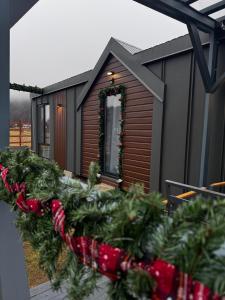 Un árbol de Navidad delante de una cabaña en Peak View Tiny House, en Zărneşti