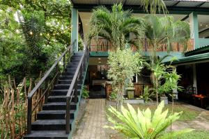 una escalera que conduce a una casa con plantas en Surf Dine, en Matara