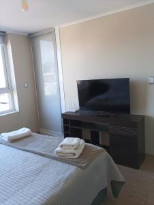 Μια τηλεόραση ή/και κέντρο ψυχαγωγίας στο Departamentos Pehumayen