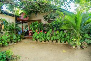 Сад в Sagopearl Guest +23 фото