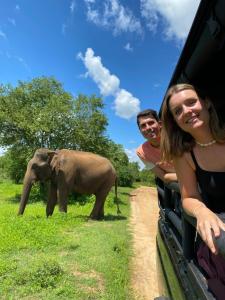 Άλλα ζώα σε αυτό το ξενοδοχείο ή στη γύρω περιοχή