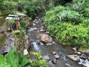 Φυσικό τοπίο κοντά σε αυτό το δωμάτιο σε οικογενειακή κατοικία +7 φωτογραφίες