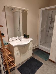 un bagno con lavandino e doccia di Appartement au calme. a Thaon-les-Vosges