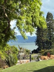 Příroda nedaleko bed and breakfast + 18 fotografií