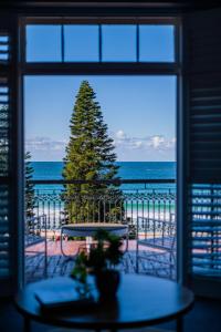 悉尼Coogee Bay Hotel的从窗口欣赏圣诞树的景色