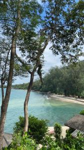 a view of a beach with trees and the water at Tadangbay bungalow in Koh Chang Ranong +17 photos