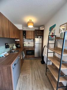 Η κουζίνα ή μικρή κουζίνα στο Apart'hôtel 6 personnes centre et cœur station