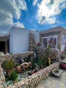 a garden in front of a house with plants at Casas Rurales Villa Sargento in Níjar