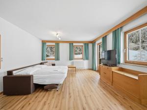 a large room with a bed and a television at Apartment in a quiet location in Mittersill in Mittersill