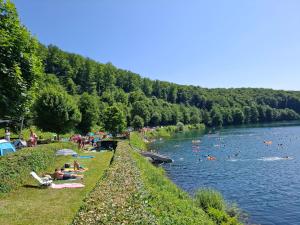 a group of people laying on the grass next to a river at Hotel Zens in Manderscheid