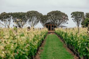 Κήπος έξω από το Basalt Wines Retreat