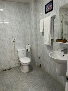Ga Phú VănKhách sạn Anh Đức CN Hoàng Văn Thụ的带马桶和水槽的浴室