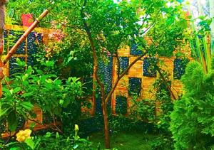 Zahrada ubytování appart OUR HOME + 12 fotografií