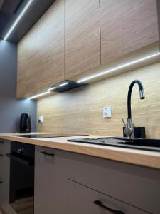 Kuchyň nebo kuchyňský kout v ubytování Prywatny parking Malachitowy by Rentoom