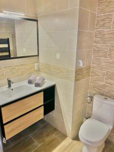 un bagno con un water, un lavandino e uno specchio di Sweet Jungle - Stylish, Cozy and Romantic - Colmar a Bollwiller Altre 12 foto