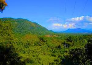 Příroda nedaleko apartmánu