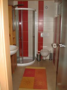 een badkamer met een douche, een toilet en een wastafel bij Ferienhaus Enger in Beulwitz