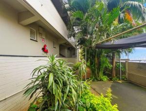 ダーバンにあるBeach view bnbの植物家屋中庭
