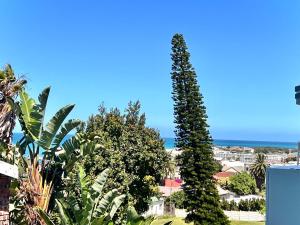 a tall tree in the middle of a city at Sea la vie at Jbay in Jeffreys Bay