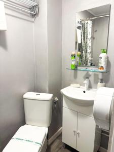 ein Badezimmer mit einer weißen Toilette und einem Waschbecken in der Unterkunft Pensiunea Vila Chesa in Corunca + 21 Fotos