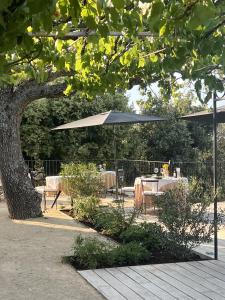 Zahrada ubytování La Villa des Cèdres + 57 fotografií