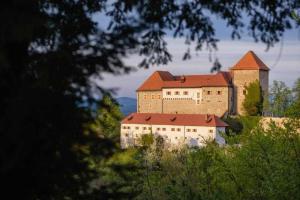 un gran castillo en la cima de una colina en Francek house Podčetrtek, en Buče