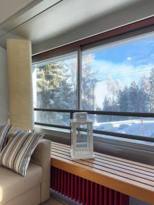 Galería fotográfica de Monolocale sulle piste da sci! en Marilleva