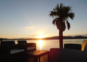 a palm tree sitting on top of a deck with a sunset at isola villa amami in Tatsugo +3 photos