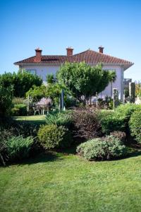 a house with a garden with bushes and trees at Casa Flor do Campo in Celorico de Basto +53 photos