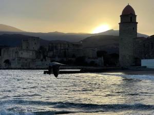 Φυσικό τοπίο κοντά σε αυτό το διαμέρισμα