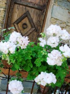 PodenzanaにあるTerra di Cenisolaの木の扉前の白い花束