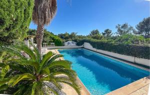 a swimming pool in a yard with a palm tree at Villa Avec Piscine 1 in Roquebrune-sur-Argens +13 photos