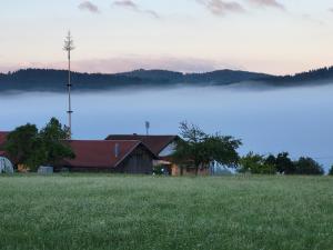 Eine Scheune mitten auf einem Feld neben einem See in der Unterkunft Landhaus Auhirsch in Böbrach