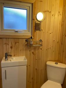 a bathroom with a toilet and a sink and a window at Shepherd's hut 2 at Braebost Croft in Portree
