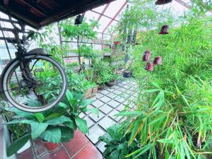 a garden with a bike parked in a greenhouse at Maison De Charme 02 in Hanoi