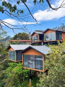 a house on top of a hill with trees at Hola Homestay in Tam Ðảo
