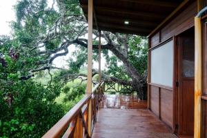 Balkón nebo terasa v ubytování Leopard Nest - Glamping in Yala