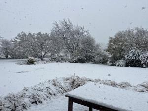 Chambre d'hôtes Lucia avec vue sur jardin arboré talvel +12 fotot