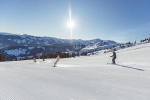 Trượt tuyết gần/tại căn hộ