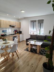 Η κουζίνα ή μικρή κουζίνα στο Noclegi u Moniki