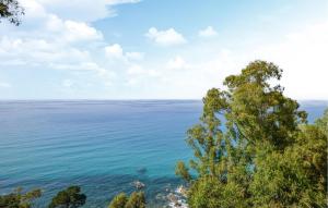 Phong cảnh thiên nhiên gần căn hộ +14 ảnh