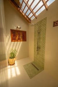 Ένα μπάνιο στο De Duck