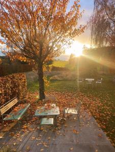 Un jardín fuera de Estrella dreams 26 fotos más