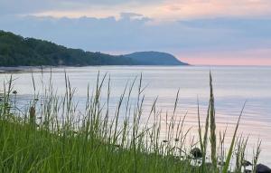 RörumNice Home In Simrishamn With Wifi的水体和草的景观