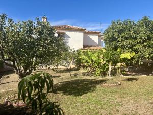 En have udenfor Casa Limonar By Solymar Holiday