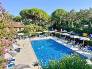 Bazén v ubytování Hotel Old River nebo v jeho okolí