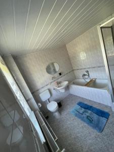 a bathroom with a toilet and a sink and a tub at Ferienwohnung Furchner in Sayda +6 photos