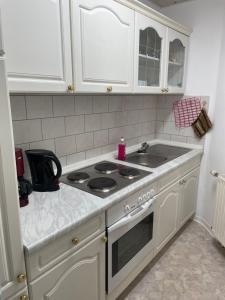 a white kitchen with a stove and a sink at Ferienwohnung Furchner in Sayda